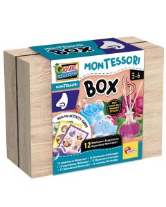 Montessorti box smell, Osjet mirisa