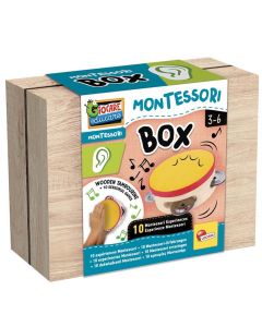 Montessori Box hearing, Osjet sluha